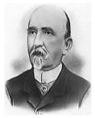 colloni