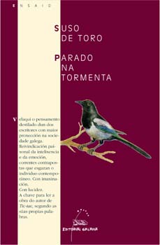 parado na tormenta