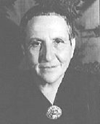g stein