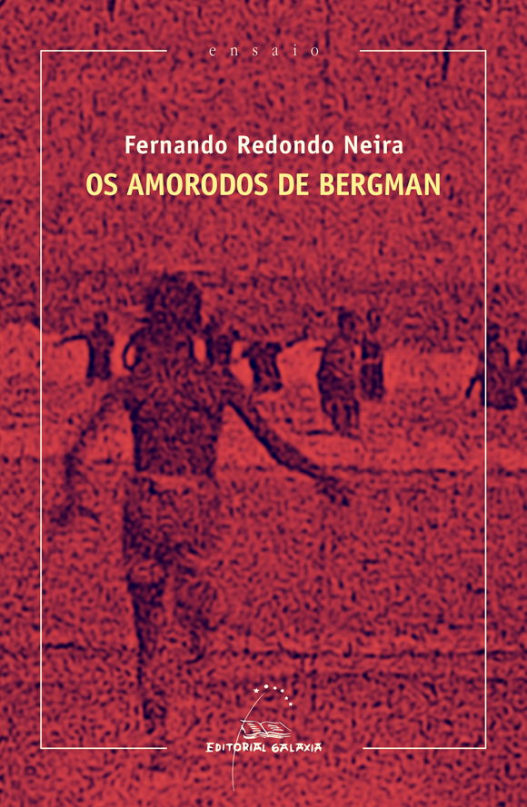 os-amorodos-de-bergman