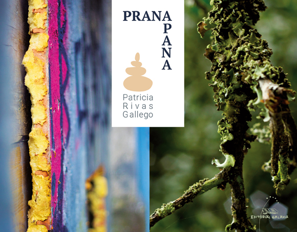 prana-apana